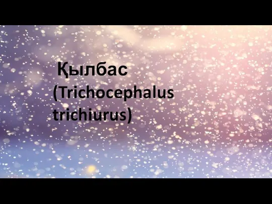 Қылбас (Trichocephalus trichiurus)