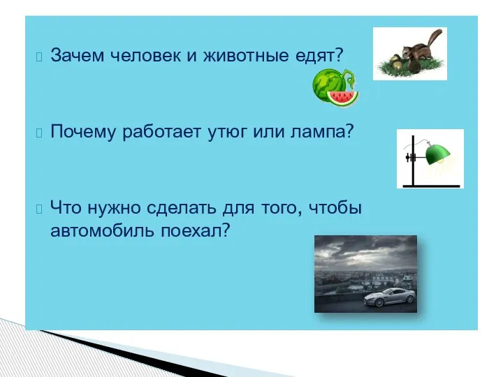 Зачем человек и животные едят? Почему работает утюг или лампа? Что нужно