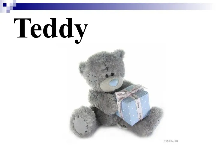 Teddy