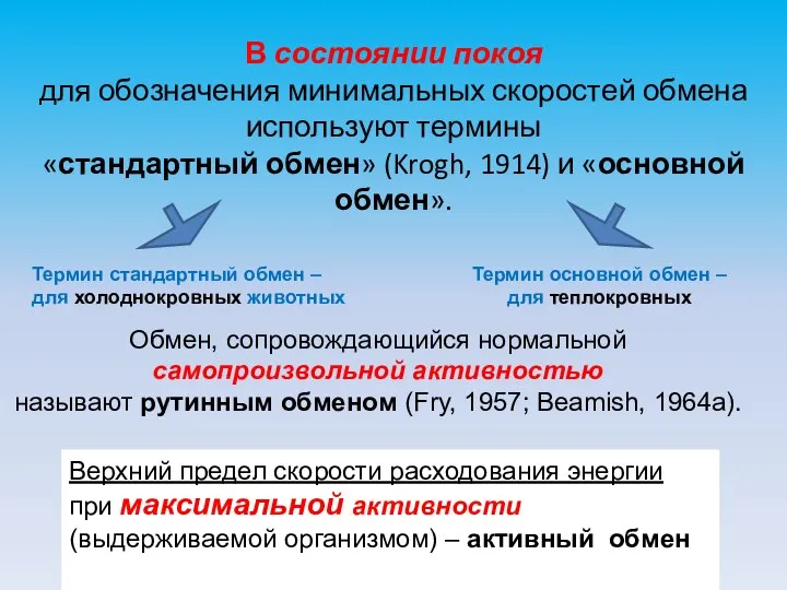 В состоянии покоя для обозначения минимальных скоростей обмена используют термины «стандартный обмен»