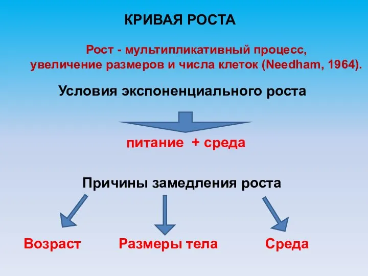 КРИВАЯ РОСТА Рост - мультипликативный процесс, увеличение размеров и числа клеток (Needham,