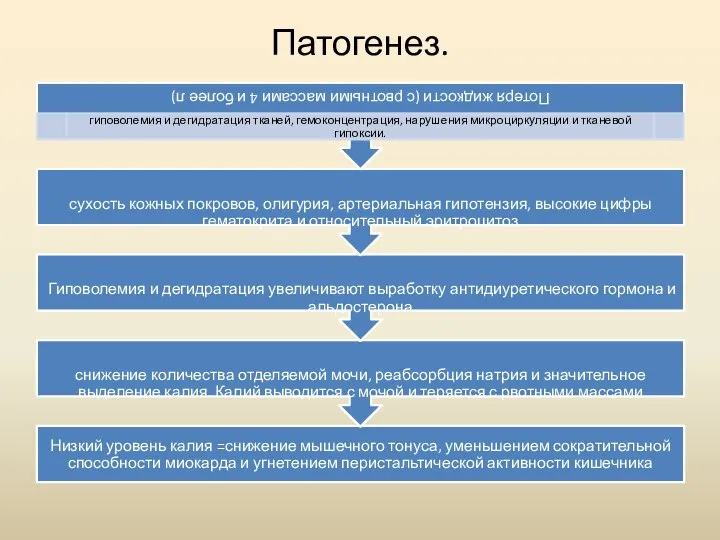 Патогенез.