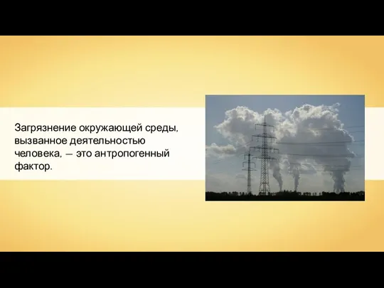 Загрязнение окружающей среды, вызванное деятельностью человека, — это антропогенный фактор.