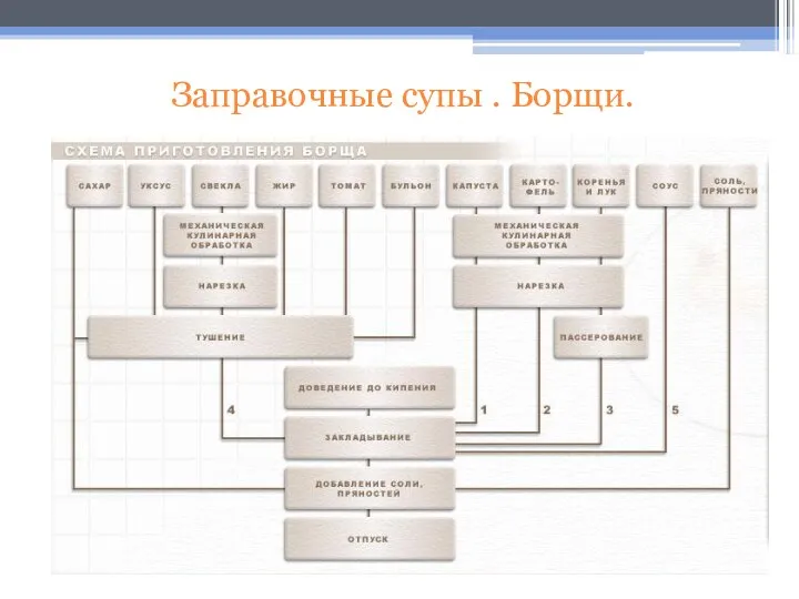 Заправочные супы . Борщи.