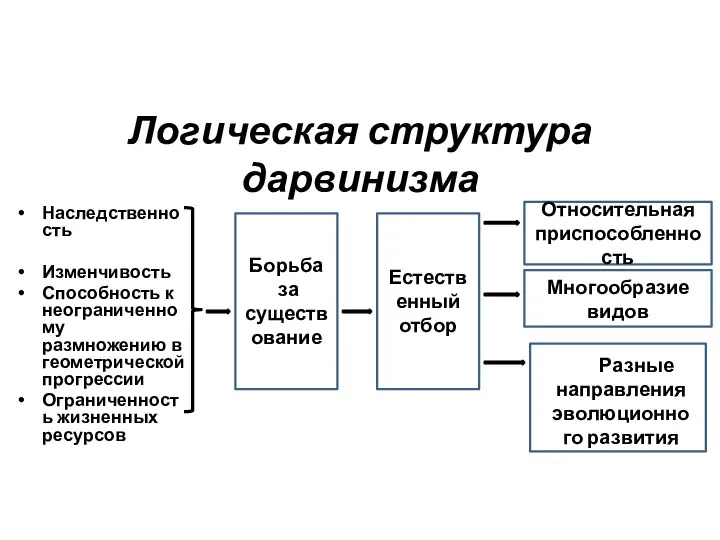 Борьба за существование Логическая структура дарвинизма Наследственность Изменчивость Способность к неограниченному размножению