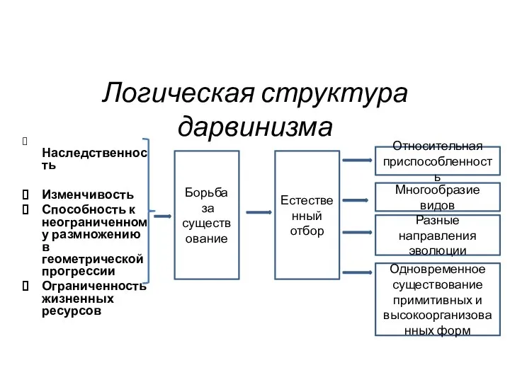 Борьба за существование Логическая структура дарвинизма Наследственность Изменчивость Способность к неограниченному размножению