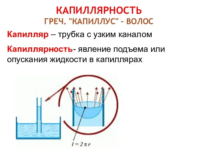 КАПИЛЛЯРНОСТЬ ГРЕЧ. "КАПИЛЛУС" – ВОЛОС Капилляр – трубка с узким каналом Капиллярность-