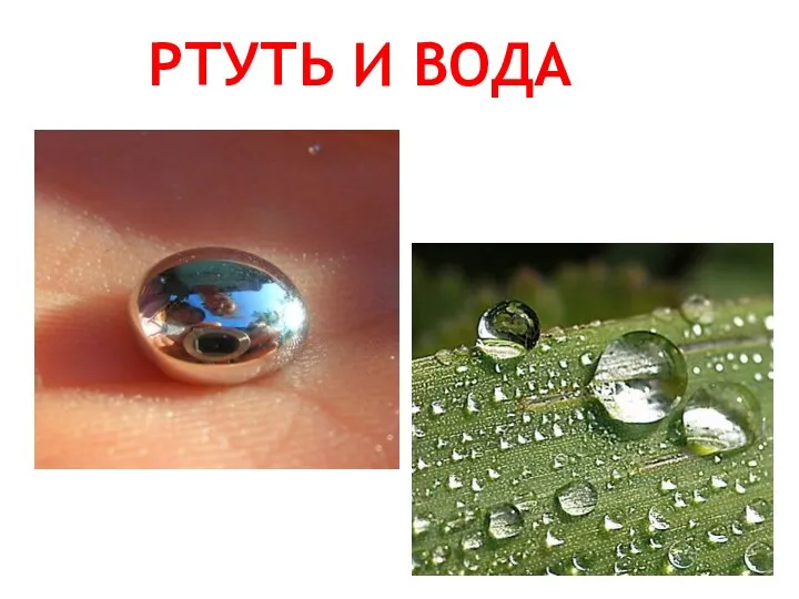 РТУТЬ И ВОДА