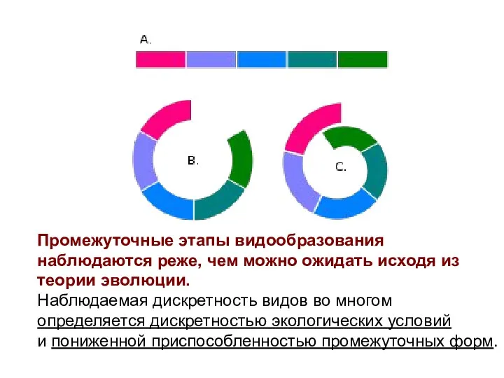 Промежуточные этапы видообразования наблюдаются реже, чем можно ожидать исходя из теории эволюции.