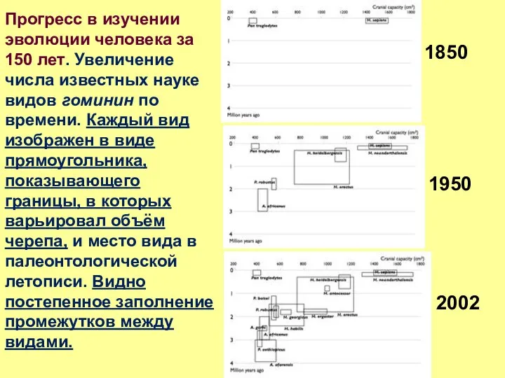 Прогресс в изучении эволюции человека за 150 лет. Увеличение числа известных науке