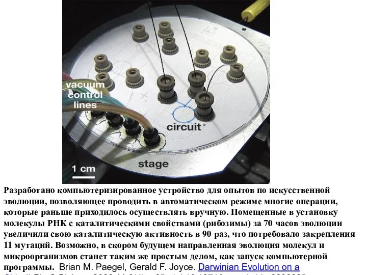 Разработано компьютеризированное устройство для опытов по искусственной эволюции, позволяющее проводить в автоматическом