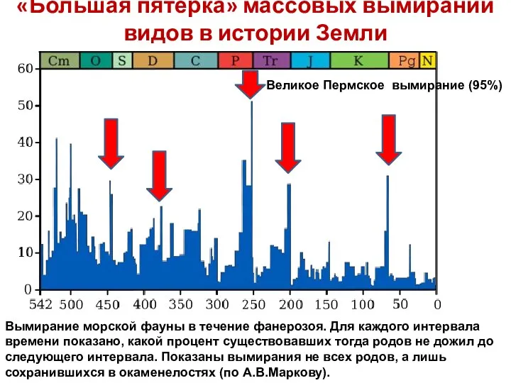 «Большая пятерка» массовых вымираний видов в истории Земли Вымирание морской фауны в