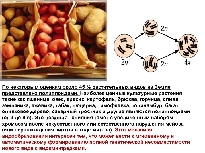 По некоторым оценкам около 45 % растительных видов на Земле представлено полиплоидами.