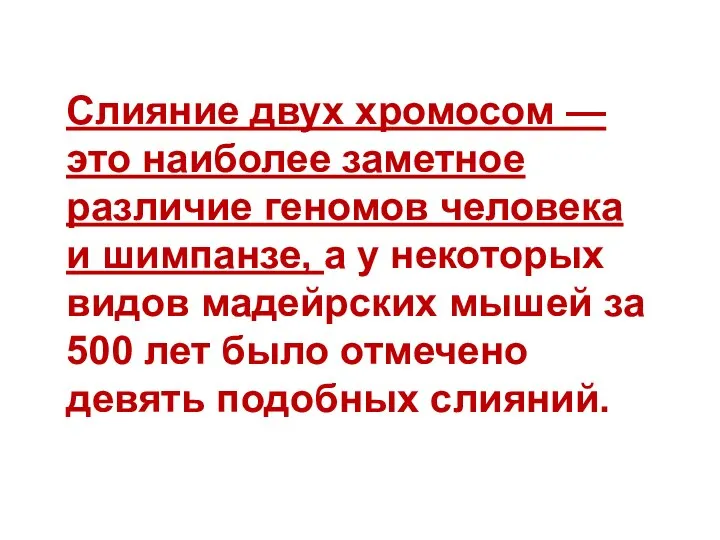 Слияние двух хромосом — это наиболее заметное различие геномов человека и шимпанзе,