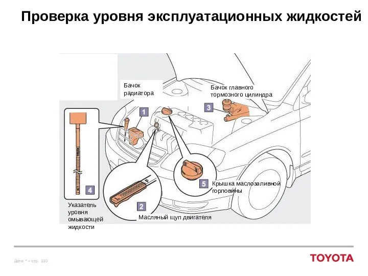 Проверка уровня эксплуатационных жидкостей Указатель уровня омывающей жидкости Бачок радиатора Масляный щуп