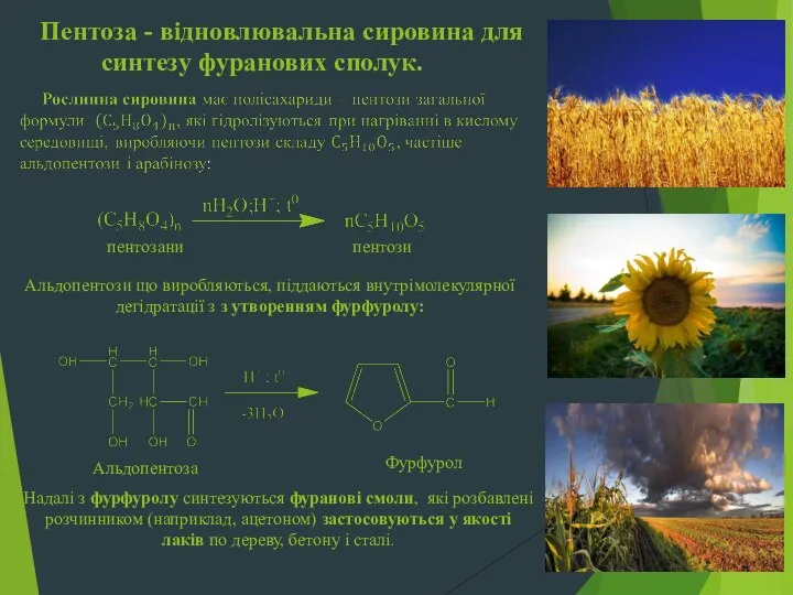 Пентоза - відновлювальна сировина для синтезу фуранових сполук. пентозани пентози Альдопентози що