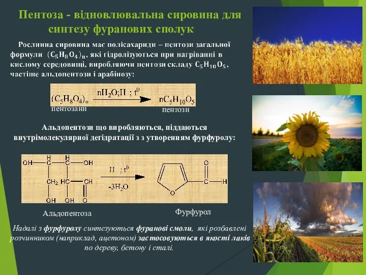 Пентоза - відновлювальна сировина для синтезу фуранових сполук пентозани пентози Альдопентози що