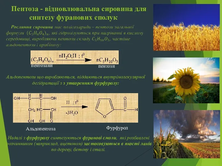 Пентоза - відновлювальна сировина для синтезу фуранових сполук пентозани пентози Альдопентози що