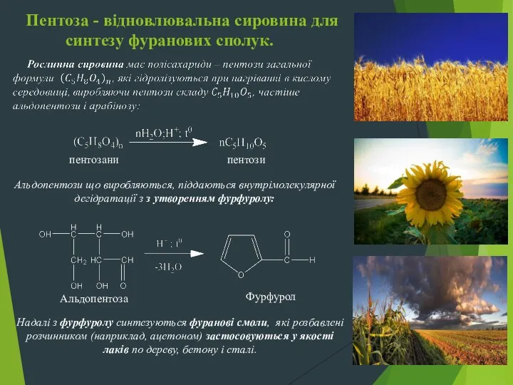 Пентоза - відновлювальна сировина для синтезу фуранових сполук. пентозани пентози Альдопентози що