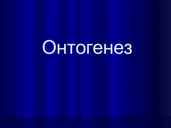 Онтогенез