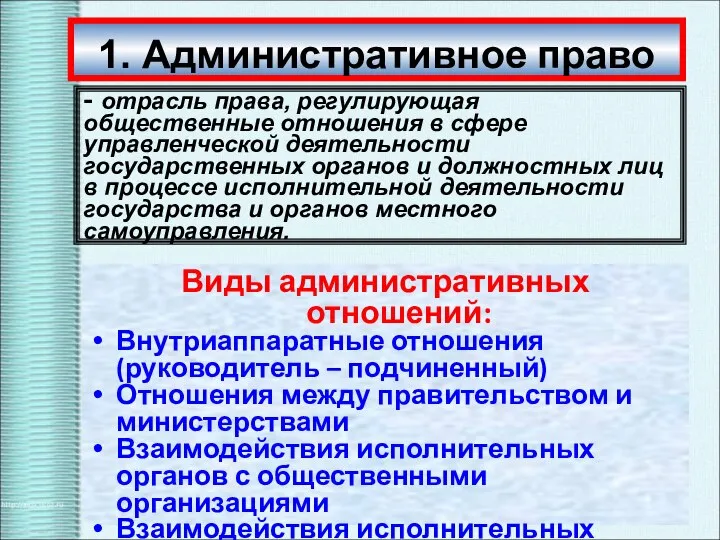 Виды административных отношений: Внутриаппаратные отношения (руководитель – подчиненный) Отношения между правительством и