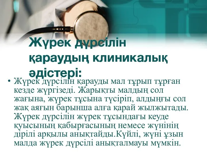 Жүрек дүрсілін қараудың клиникалық әдістері: Жүрек дүрсілін қарауды мал тұрып тұрған кезде