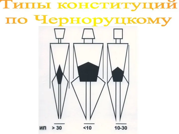 Типы конституций по Черноруцкому