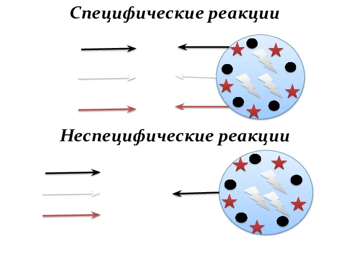 Специфические реакции Неспецифические реакции