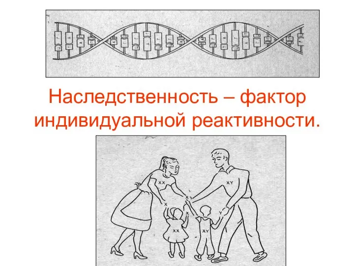 Наследственность – фактор индивидуальной реактивности.