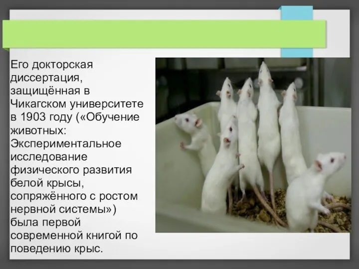 Его докторская диссертация, защищённая в Чикагском университете в 1903 году («Обучение животных: