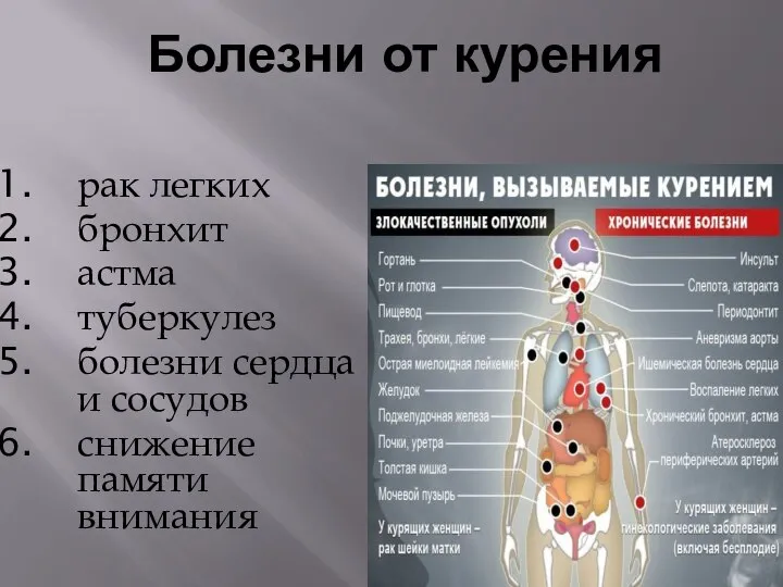 Болезни от курения рак легких бронхит астма туберкулез болезни сердца и сосудов снижение памяти внимания