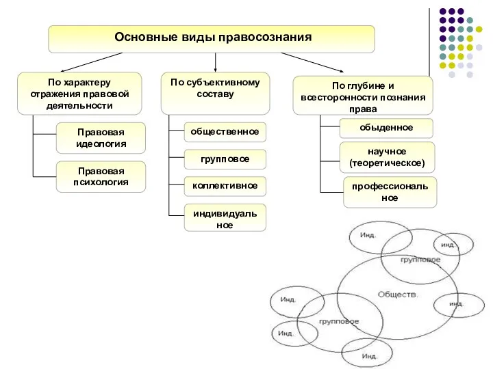 Основные виды правосознания По глубине и всесторонности познания права По субъективному составу