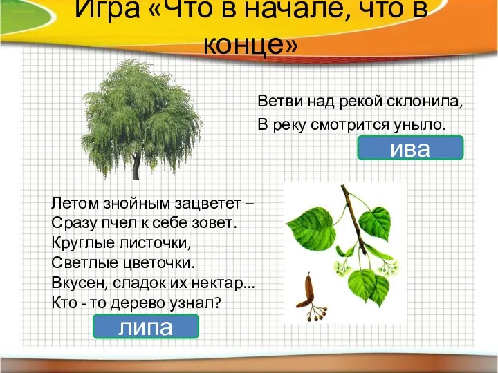 Игра «Что в начале, что в конце» Летом знойным зацветет – Сразу