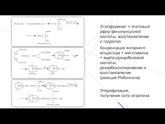 Этилформиат + этиловый эфир фенилуксусной кислоты, восстановление и гидролиз Конденсация янтарного альдегида