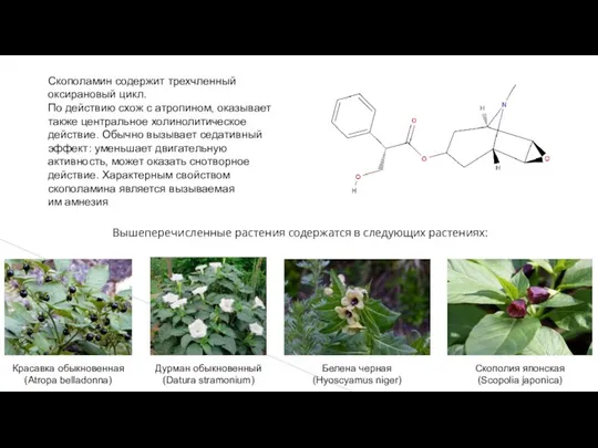 Скополамин содержит трехчленный оксирановый цикл. По действию схож с атропином, оказывает также