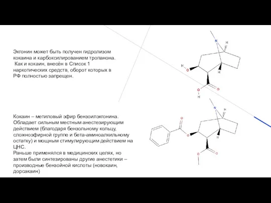 Экгонин может быть получен гидролизом кокаина и карбоксилированием тропанона. Как и кокаин,