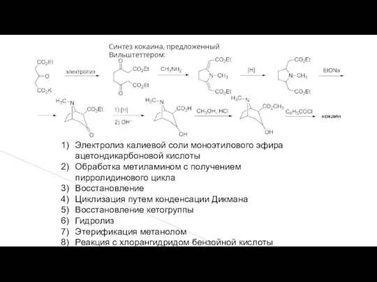 Синтез кокаина, предложенный Вильштеттером: Электролиз калиевой соли моноэтилового эфира ацетондикарбоновой кислоты Обработка