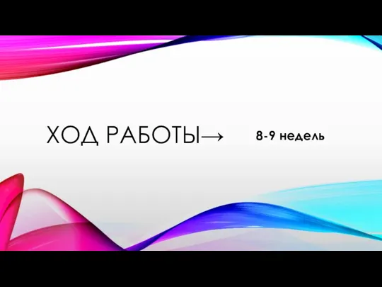 ХОД РАБОТЫ→ 8-9 недель