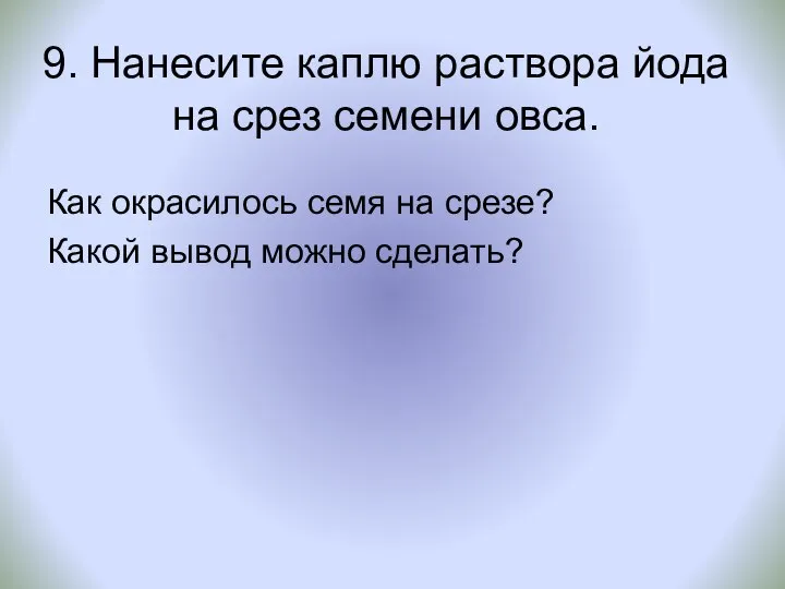 9. Нанесите каплю раствора йода на срез семени овса. Как окрасилось семя