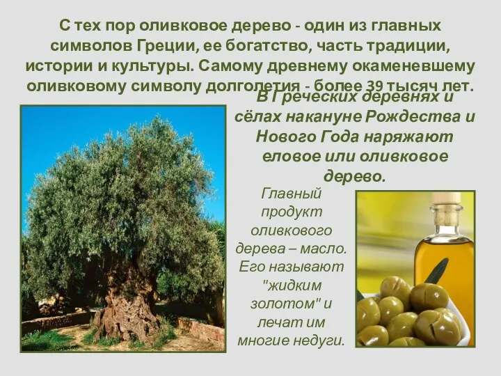 С тех пор оливковое дерево - один из главных символов Греции, ее