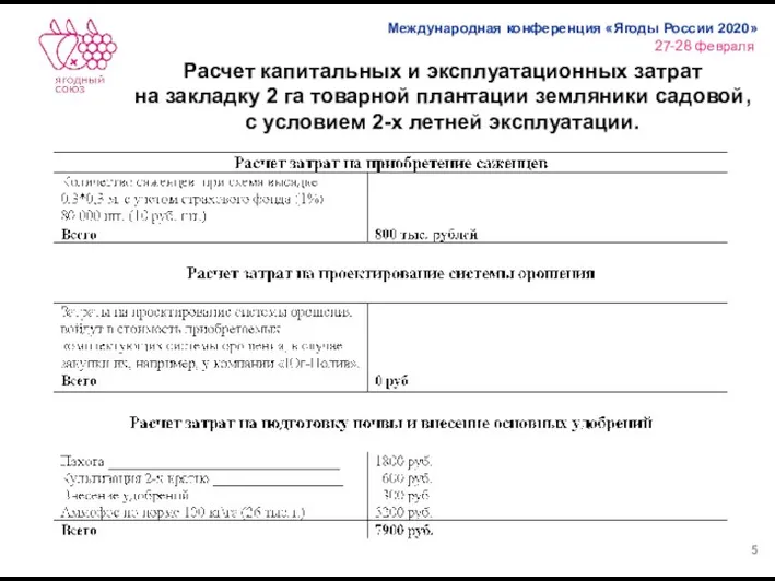 Расчет капитальных и эксплуатационных затрат на закладку 2 га товарной плантации земляники