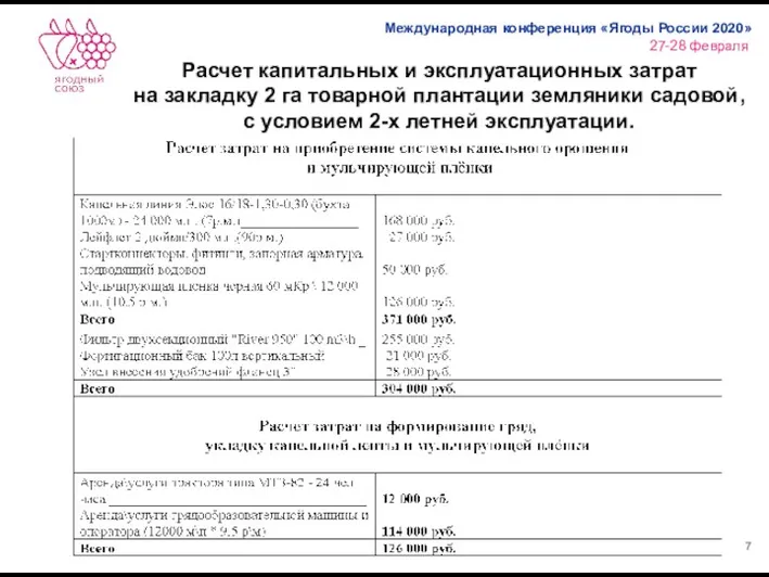 Расчет капитальных и эксплуатационных затрат на закладку 2 га товарной плантации земляники