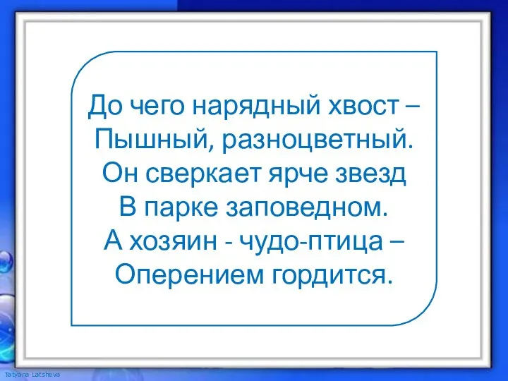 До чего нарядный хвост – Пышный, разноцветный. Он сверкает ярче звезд В