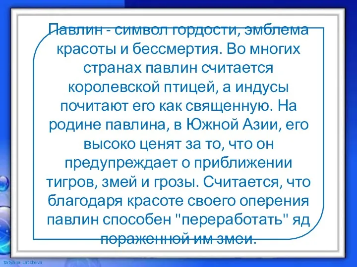 Павлин - символ гордости, эмблема красоты и бессмертия. Во многих странах павлин