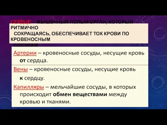 СЕРДЦЕ – МЫШЕЧНЫЙ ПОЛЫЙ ОРГАН, КОТОРЫЙ РИТМИЧНО СОКРАЩАЯСЬ, ОБЕСПЕЧИВАЕТ ТОК КРОВИ ПО КРОВЕНОСНЫМ СОСУДАМ