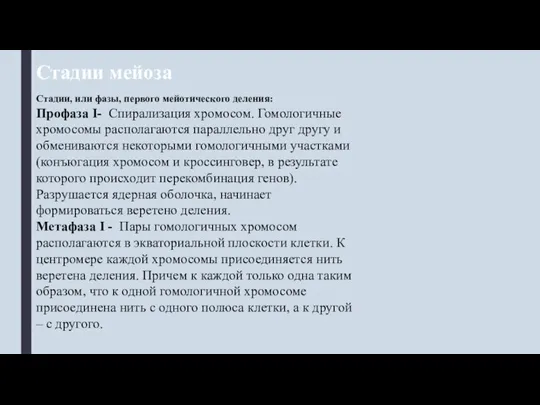 Стадии мейоза Стадии, или фазы, первого мейотического деления: Профаза I- Спирализация хромосом.