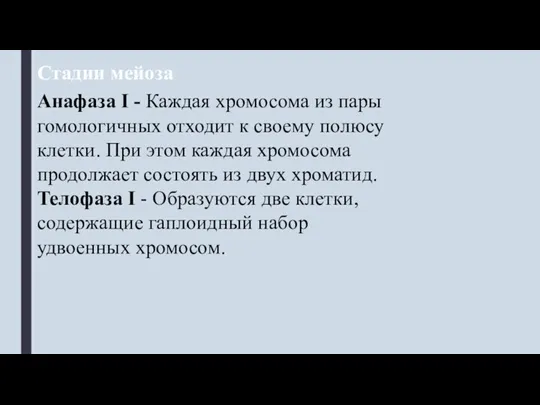 Анафаза I - Каждая хромосома из пары гомологичных отходит к своему полюсу