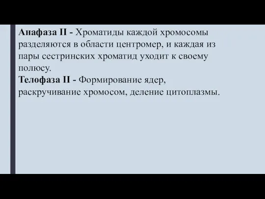 Анафаза II - Хроматиды каждой хромосомы разделяются в области центромер, и каждая