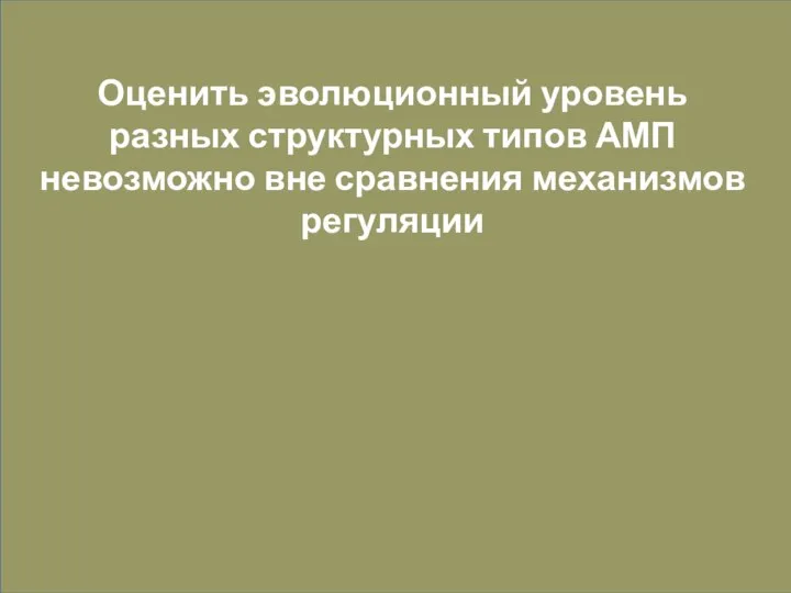 Оценить эволюционный уровень разных структурных типов АМП невозможно вне сравнения механизмов регуляции