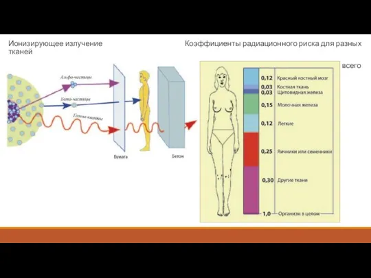 Ионизирующее излучение Коэффициенты радиационного риска для разных тканей (органов) человека при равномерном облучении всего тела